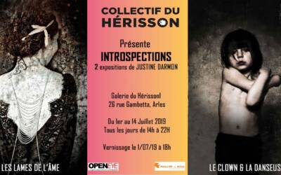 INTROSPECTIONS | Galerie du Hérisson | 1-14 Juillet 2019 – Arles